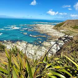 The coastline. There is a deep channel jusy off the coast that brings a lot of sea life to this area