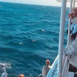 Das sind schon ein paar Meter...