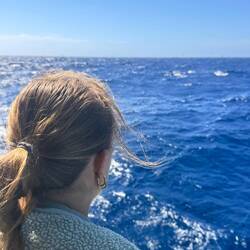 Aufmerksames Späher-Füxchen...