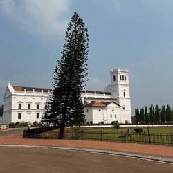 Se Cathedral with funny leaning tree