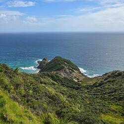 Der Te Aroha (Spirit Tree) ist ganz klitzeklein zu sehen
