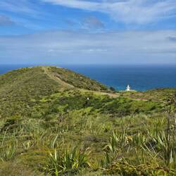 Cape Reinga