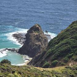 Der Te Aroha besser zu erkennen