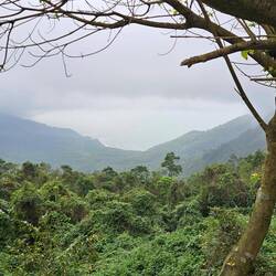 The view down a valley to the ocean with low cloud cover framing it