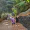 Naga staircase at Wat Phra That Doi Suthep