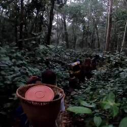 ...es regnet in Strömen