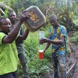 ...zur Palmeweinverkostung