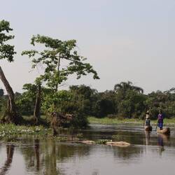 ...über den Dzanga Fluss...