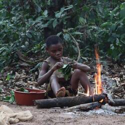 ...früh am Morgen werden schon wieder Blätter sortiert...