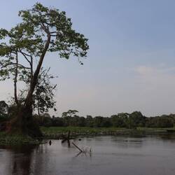Am Nachmittag geht es mit der Piroge...