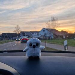 Bubo esch installiert