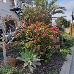 Eingang zum Restaurant