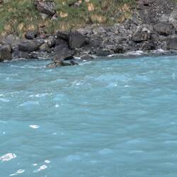 Seals on the rocks