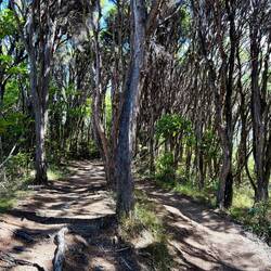 The end of the hike was much dryer with a lot less plants