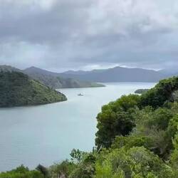 Video of Queen Charlotte Sound from our hike