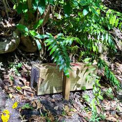 These stoat traps are all along the trails in New Zealand to get rid of the pests and support birds