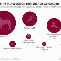 Hier nochmal die Statistik