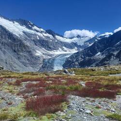 Ein erster Blick auf den Dart Gletscher brachte uns ins Staunen