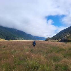 Das Reinwandern erfolgte im flachen Sumpfland bei Wolken bedecktem Himmel