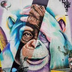 De zwoa lernas navigieren nia 😂