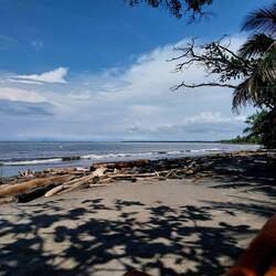 Strand beim Campingplatz, viel Treibholz