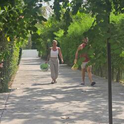 Hayley and Wayne off to feed the tortoises their scaps