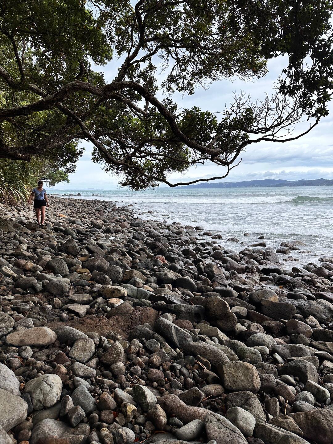 Steiniger Weg zum New Chums Beach