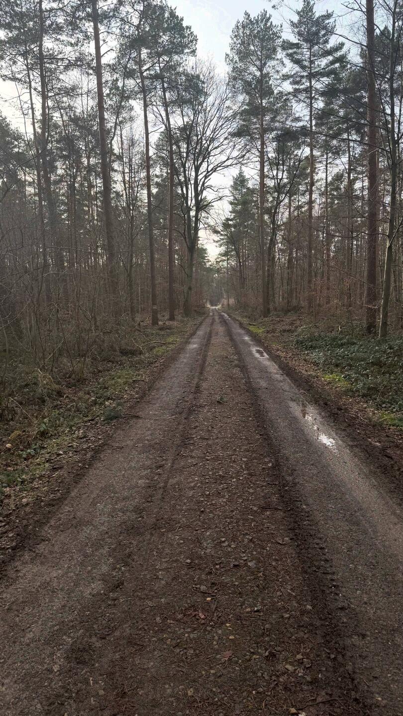 etwas matschig und trübe präsentierte sich der Morgen