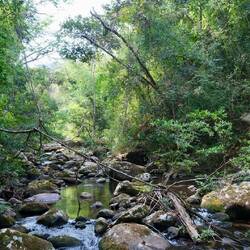 Natur pur. Wir haben erst am Wasserfall wieder Menschen getroffen