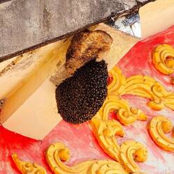 Das Bienenvolk gibt es schon seit 2 Jahren. Hab ein Foto auf Google Maps entdeckt.