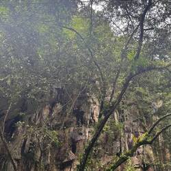 Weg nach "Aguas Calientes"