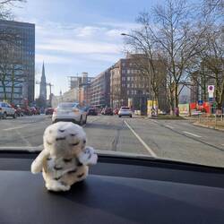 Bubo ist mit Blitzlicht in Hamburg willkommen geheissen worden