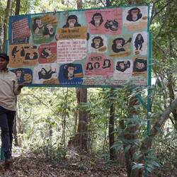 Unser Guide erklärt die Sprache der Schimpansen