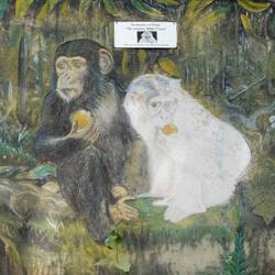 Hier gab es mal den weltweit einzigen Albino-Schimpansen namens Rosi