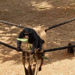 Sie sollen sie hier von ihren Traumata erholen und eine neue Gruppe bilden