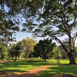 Botanischer Garten in Entebbe 🌳
