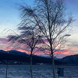 Sonnenaufgang Fauske