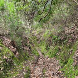 Der Zwischenanstieg.