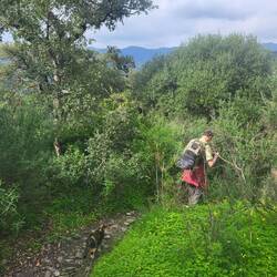 Wir hören schon den Fluss.