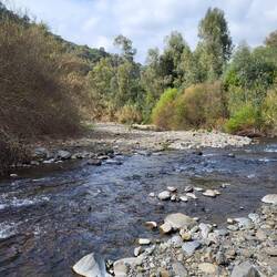 Die Stelle sieht sehr gut aus, doch es gibt drüben keinen Weg.
