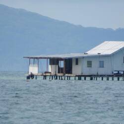 This is a black pearl factory