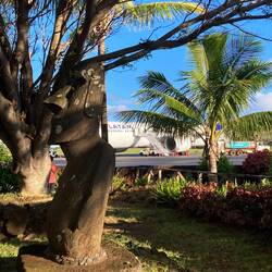 Was für ein Abschiedsbild! Moai, Palmen und blauer Himmel.