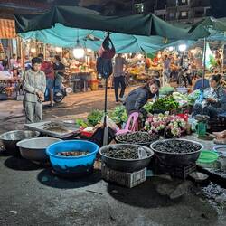 Night farmers market