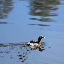 Das ist es auch noch nicht...