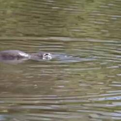 Wie viel Glück kann man eigentlich haben? Ein großer Wunsch ist in Erfüllung gegangen🥰🥰🥰