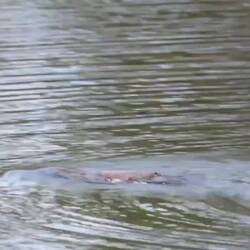 🥳🥳🥳🥹🥹🥹