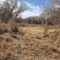 A little different flora in some areas.