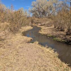 Very dry along the river in most places.