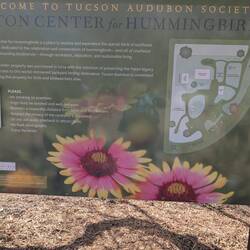 The Patton Hummingbird place. Oh my, we saw hummingbirds that were so cool. Phenomenal docent.