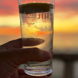 Darf nicht fehlen - Gin Tonic